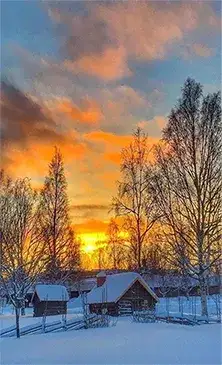 nature