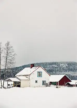 nature