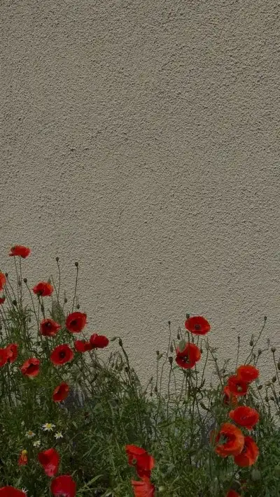 nautre