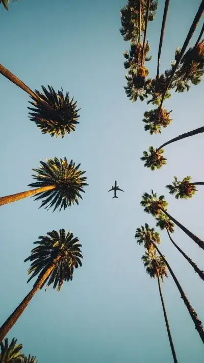 nature