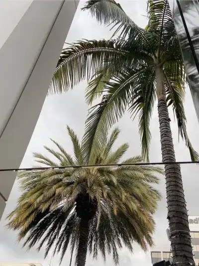 nature