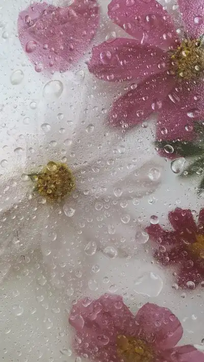   Flowers
