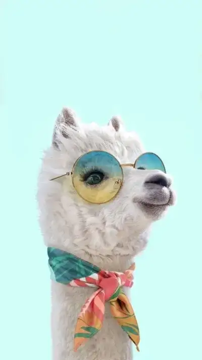 animal