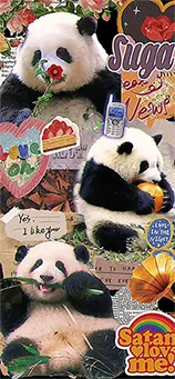 panda