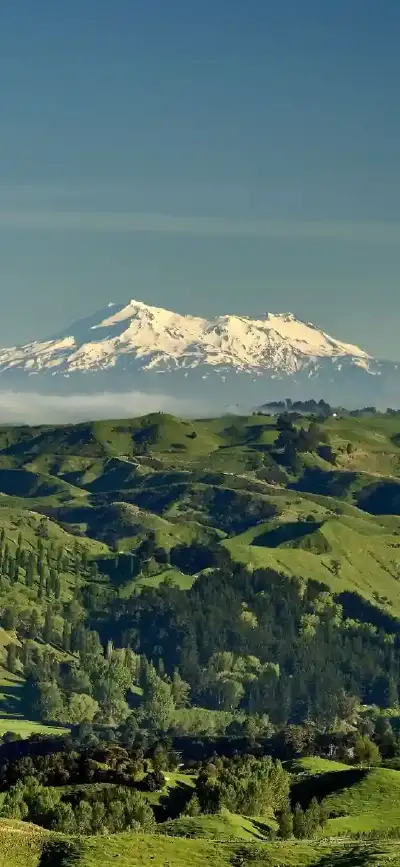 nature