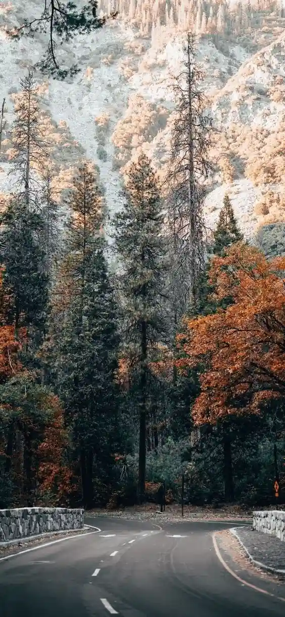 nature