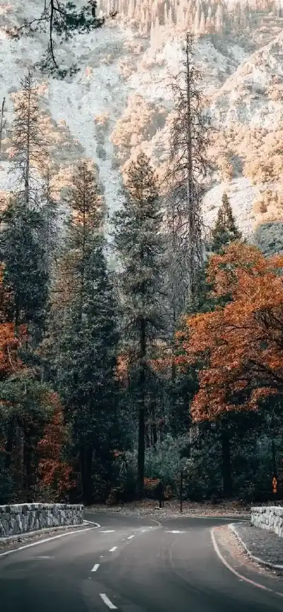 nature