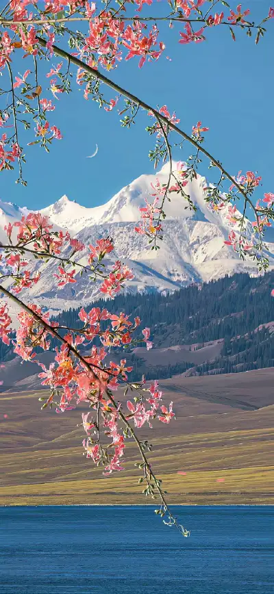 nature