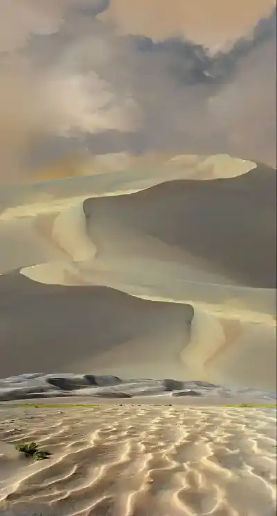 nature