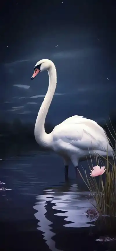 animal