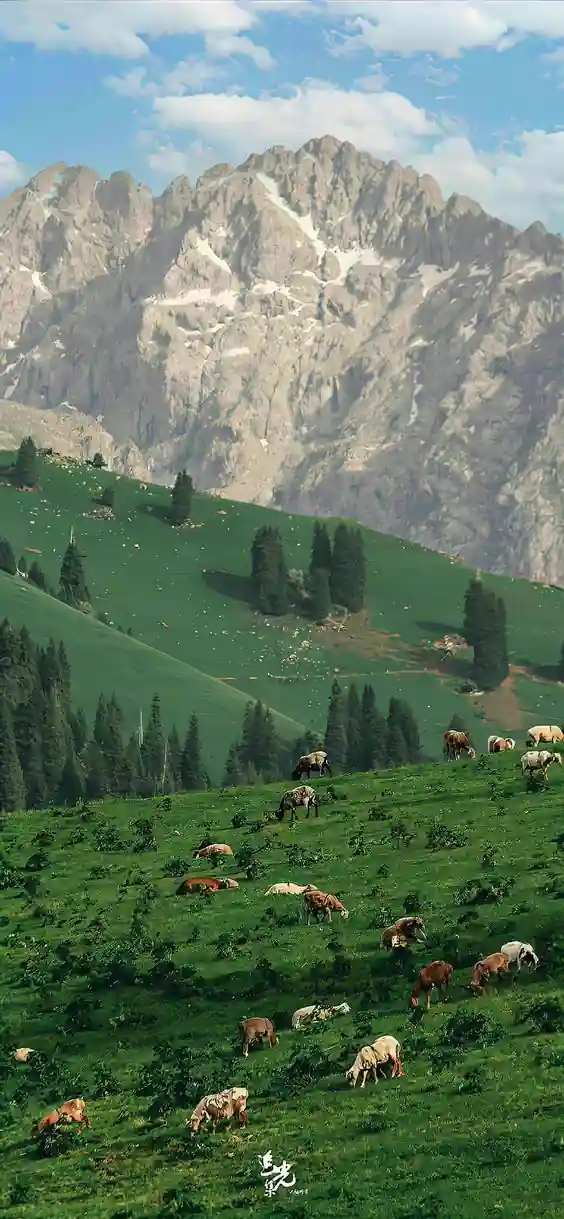 nature