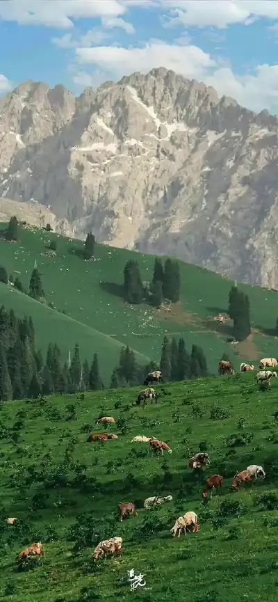 nature