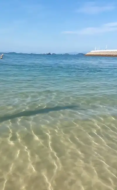 sea