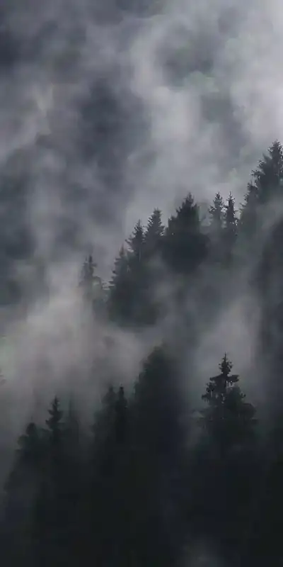 nature