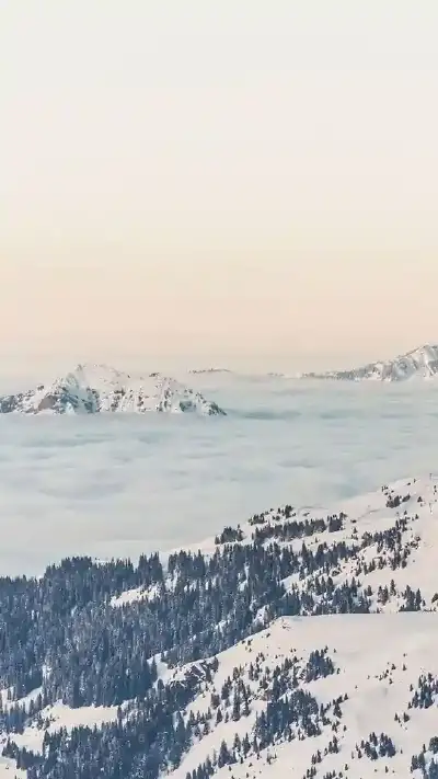winter