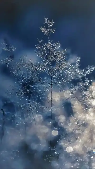winter