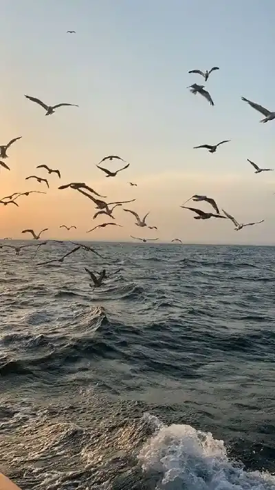 nature