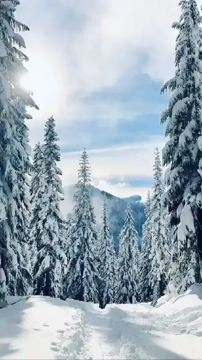 winter