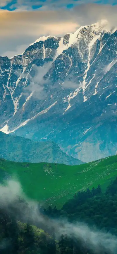 nature