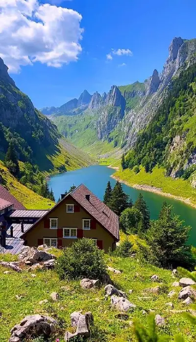 nature