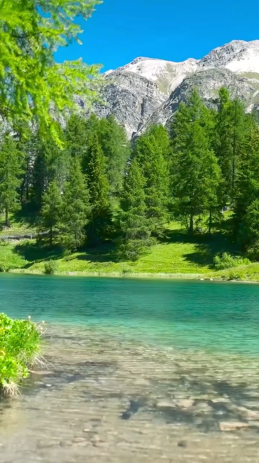 nature