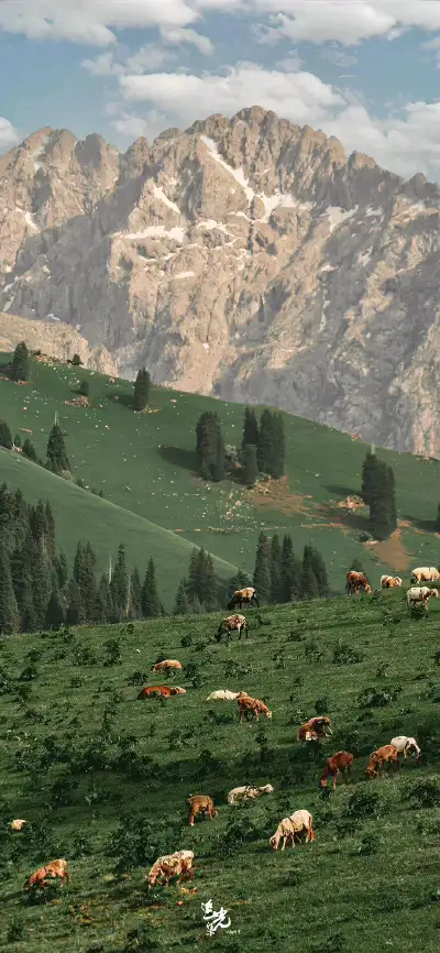 nature