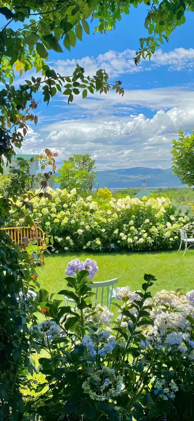 nature