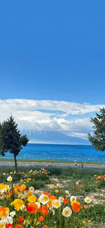 nature