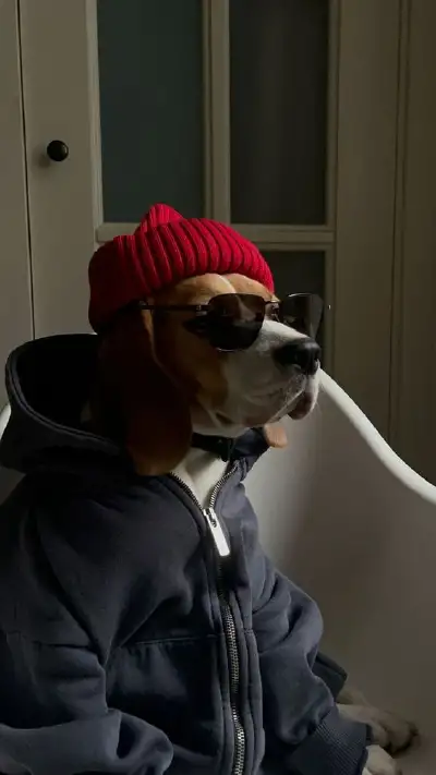 animal