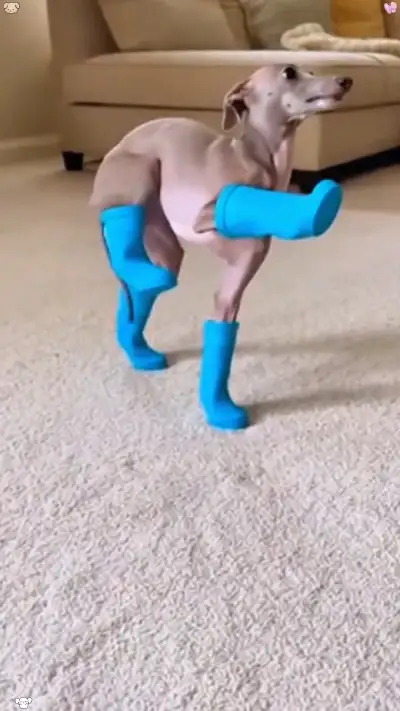 new