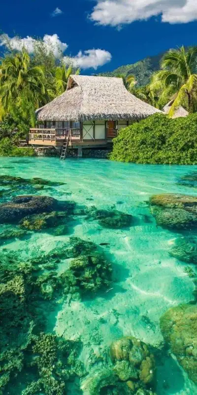 nature